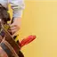 Handyman repair service in Sterling Heights, MI for home fixes and improvements