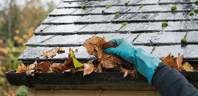 Gutter cleaning technician clearing wet leaves from roof gutters in Sterling Heights, MI